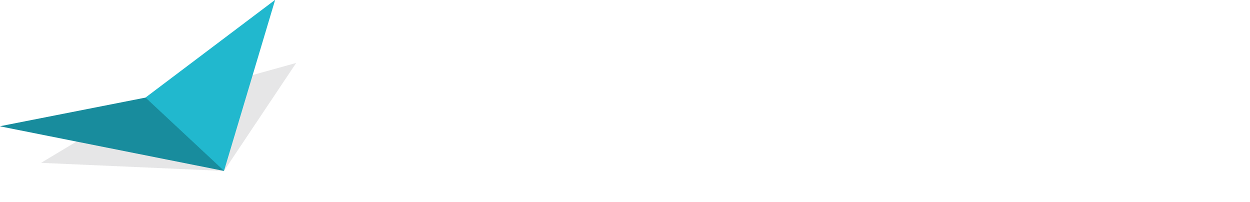 スカイシーカー レンタル LP